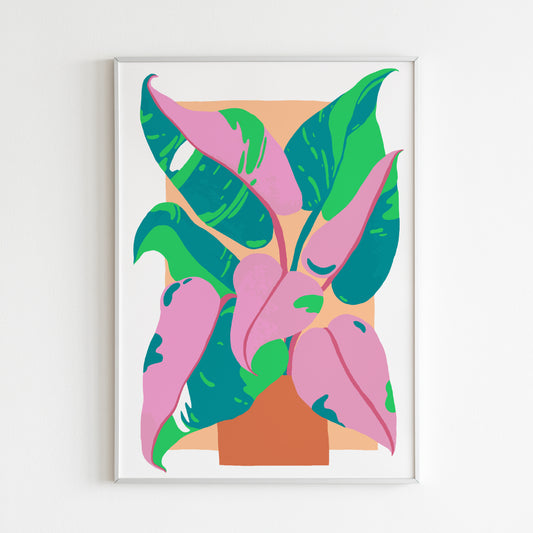 Print "Philodendron rose"